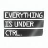 Everything is under ctrl nalepka za avto