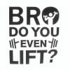 Bro do you even lift nalepka