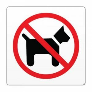 prepovedano za pse, nalepka za pse