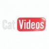 Cat videos nalepka