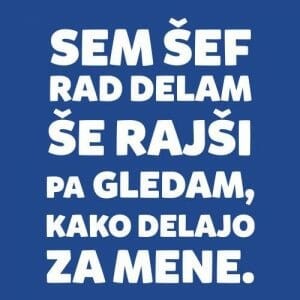 Alternative view of Sem šef rad delam, majica