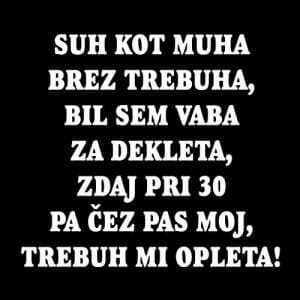 Alternative view of Suh kot muha brez trebuha, majica