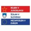 Rojen v Jugoslaviji, majica - slika 2