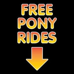 Alternative view of Free Pony Rides, moška majica