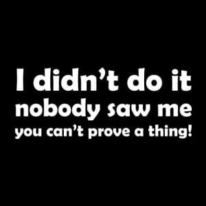 Alternative view of I didn't do it, majica