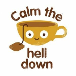 Alternative view of Calm the hell down, majica