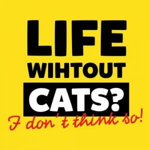 Alternative view of Life without cats I don't think so! majica