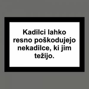 Alternative view of Kadilci lahko resno poškodujejo nekadilce, majica