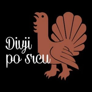 Alternative view of Divji po srcu, majica