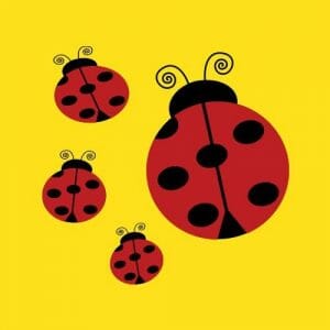 Alternative view of Pikapolonice, majica