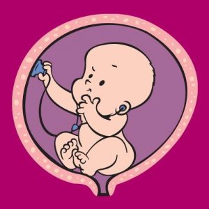 Alternative view of Ultrazvok dojenčka, raztegljiva majica za nosečnico