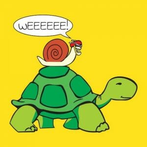 Alternative view of Želva in polž, majica