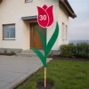 Tulipan za okroglo obletnico z izbrano številko