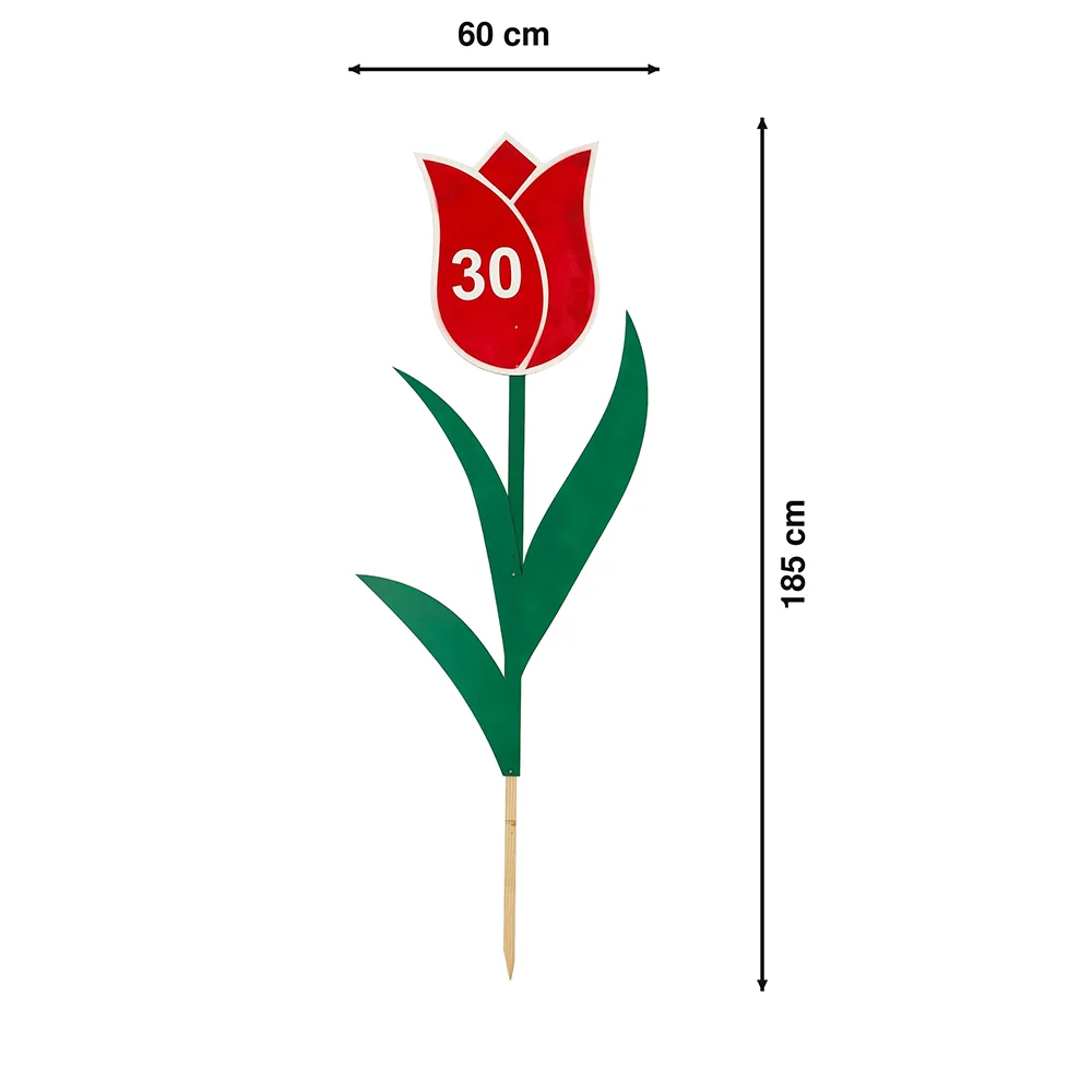 Tulipan za okroglo obletnico z izbrano številko - slika 2